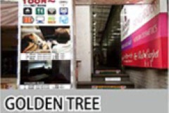 GOLDEN TREE(Net Cafe Room)
